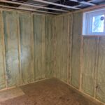 Renfrew Basement (1)