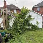Sheds (7)